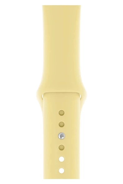 Pazariz Apple Watch Uyumlu 3 4 5 6 7 8 Se Delikli 42 44 45mm Kordon Kayış Bileklik Klasik Silikon ürün görseli 1