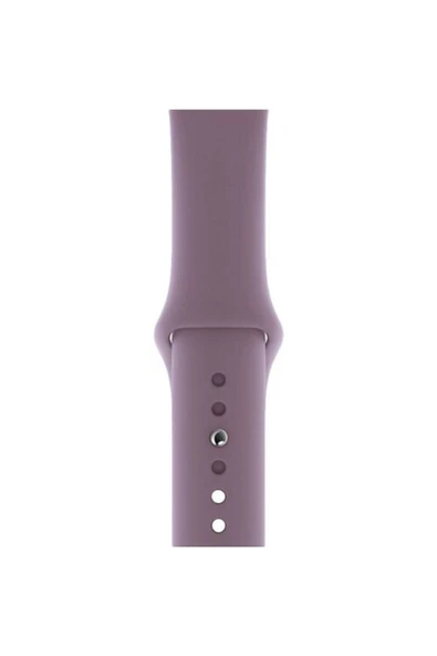 Pazariz Apple Watch Uyumlu 38 - 40 Mm Spor Kordon Silikon Kayış Lila - 2