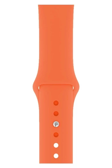 Pazariz Apple Watch Uyumlu 3 4 5 6 7 8 Se Delikli 38 40 41mm Kordon Kayış Bileklik Klasik Silikon - 1