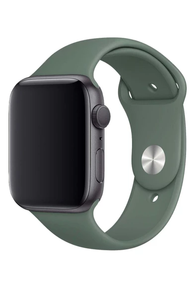 Pazariz Apple Watch Uyumlu 3 4 5 6 7 8 Se Delikli 38 40 41mm Kordon Kayış Bileklik Klasik Silikon - Resim 2