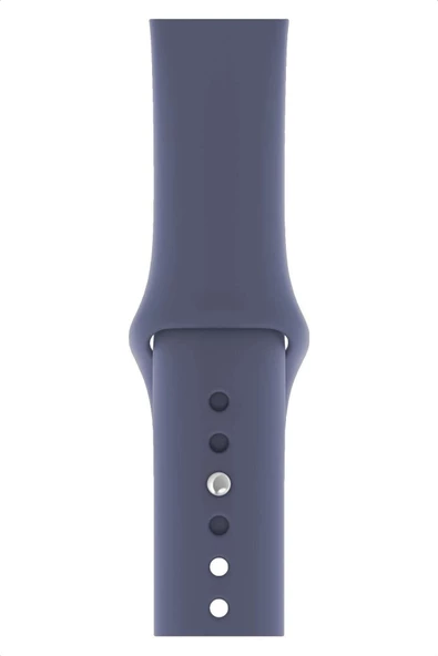 Pazariz Apple Watch Uyumlu 3 4 5 6 7 8 Se Delikli 38 40 41mm Kordon Kayış Bileklik Klasik Silikon - 1