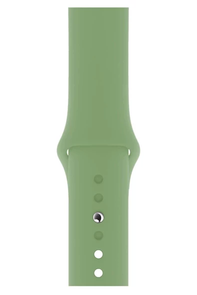 Pazariz Apple Watch Uyumlu 3 4 5 6 7 8 Se Delikli 38 40 41mm Kordon Kayış Bileklik Klasik Silikon ürün görseli 1