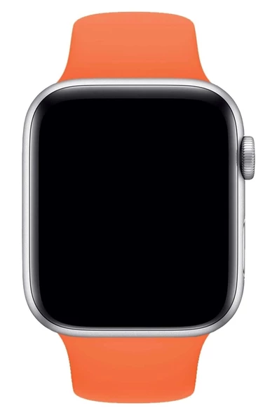 Pazariz Apple Watch Uyumlu 3 4 5 6 7 8 Se Delikli 38 40 41mm Kordon Kayış Bileklik Klasik Silikon - 3