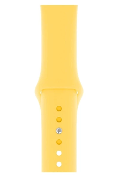 Pazariz Apple Watch Uyumlu 3 4 5 6 7 8 Se Delikli 38 40 41mm Kordon Kayış Bileklik Klasik Silikon ürün görseli 1