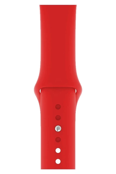 Pazariz Apple Watch Uyumlu 2 3 4 5 6 7 Se Delikli 42 44 45mm Spor Slikon Kordon Kayış Bileklik