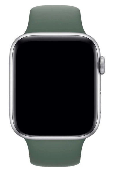 Pazariz Apple Watch Uyumlu 3 4 5 6 7 8 Se Delikli 38 40 41mm Kordon Kayış Bileklik Klasik Silikon - Resim 3