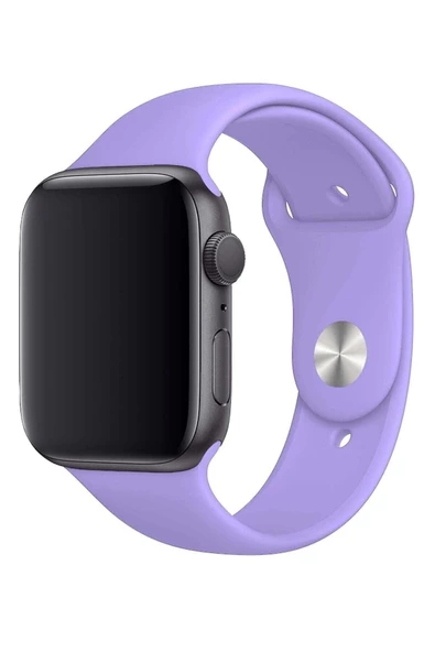 Pazariz Apple Watch Uyumlu 3 4 5 6 7 8 Se Delikli 42 44 45mm Kordon Kayış Bileklik Klasik Silikon - Resim 2