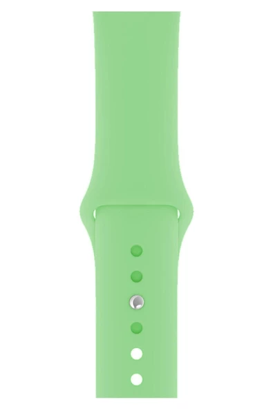 Pazariz Apple Watch Uyumlu 3 4 5 6 7 8 Se Delikli 38 40 41mm Kordon Kayış Bileklik Klasik Silikon