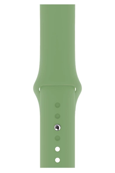 Pazariz Apple Watch Uyumlu Kordon 1 2 3 4 5 6 7 Se Seri 42 Mm/44 Mm/45mm Silikon Kordon Kayış