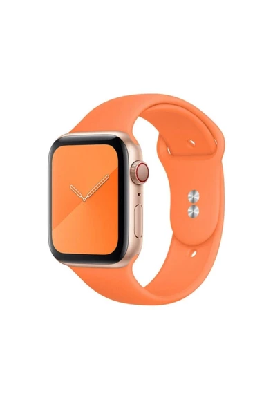 Pazariz S/m Beden Apple Watch Uyumlu 2 3 4 5 6 7 Uyumlu Se 38 Mm 40 Mm Spor Sililkon Kordon ürün görseli 1