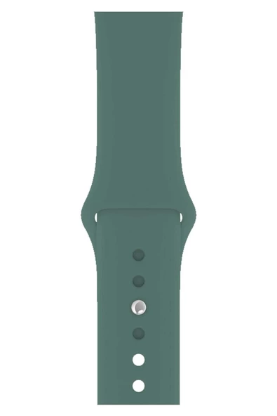 Pazariz Apple Watch Uyumlu 3 4 5 6 7 8 Se Delikli 38 40 41mm Kordon Kayış Bileklik Klasik Silikon ürün görseli 1