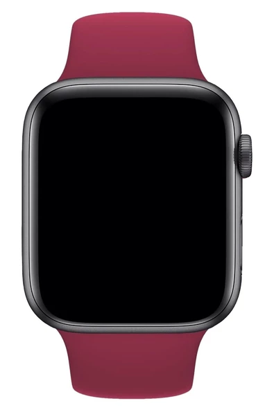 Pazariz Apple Watch Uyumlu 3 4 5 6 7 8 Se Delikli 42 44 45mm Spor Slikon Kordon Kayış Bileklik - Resim 2