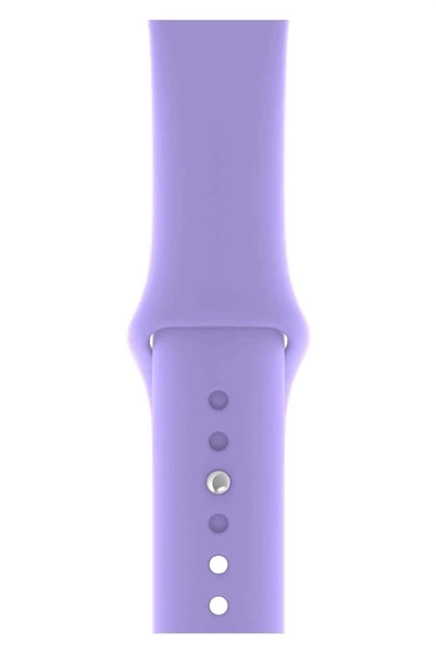 Pazariz Apple Watch Uyumlu 3 4 5 6 7 8 Se Delikli 42 44 45mm Kordon Kayış Bileklik Klasik Silikon ürün görseli 1