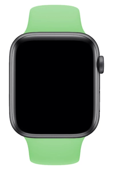 Pazariz Apple Watch Uyumlu 3 4 5 6 7 8 Se Delikli 38 40 41mm Kordon Kayış Bileklik Klasik Silikon - Resim 2