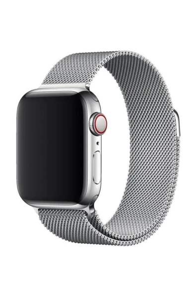 Pazariz Apple Watch Uyumlu 44 Mm Kordon Çelik Kayış Sılver/gumus - Resim 2