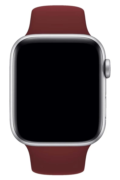 Pazariz Apple Watch Uyumlu 3 4 5 6 7 8 Se Delikli 42 44 45mm Kordon Kayış Bileklik Klasik Silikon - Resim 3