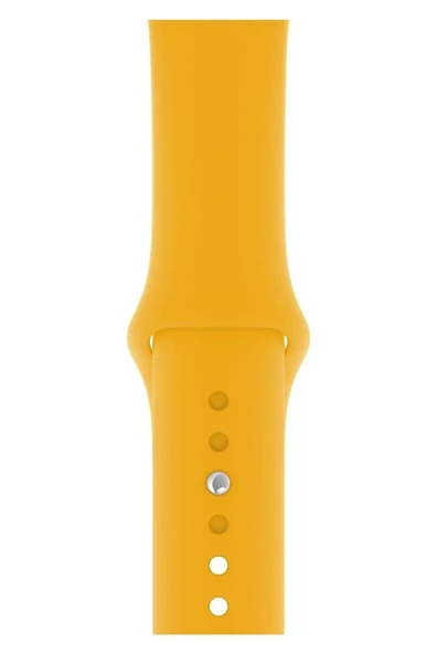 Pazariz Apple Watch Uyumlu Kordon 1 2 3 4 5 6 7 Se Seri 42 Mm/44 Mm/45mm Silikon Kordon Kayış ürün görseli 1