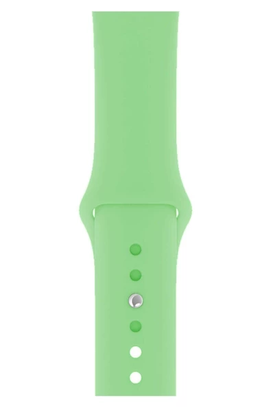 Pazariz Apple Watch Uyumlu 3 4 5 6 7 8 Se Delikli 38 40 41mm Kordon Kayış Bileklik Klasik Silikon ürün görseli 1