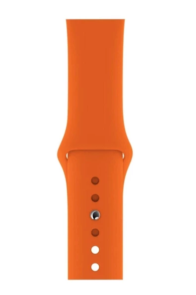 Pazariz Apple Watch Uyumlu 3 4 5 6 7 8 Se Delikli 38 40 41mm Kordon Kayış Bileklik Klasik Silikon ürün görseli 1