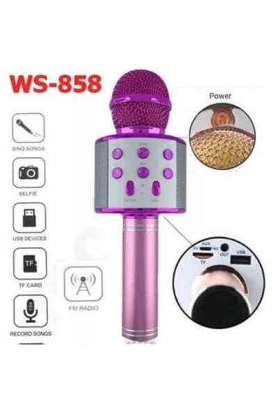 Pazariz Karaoke Mikrofon Pembe - Resim 2