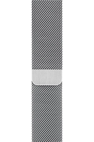 Pazariz Apple Watch Uyumlu8 45 Mm Çelik Örgü Mıknatıslı Kordon - Gümüş ürün görseli 1