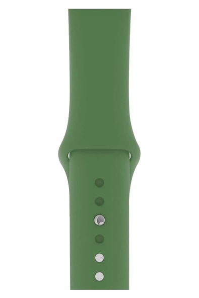 Pazariz Apple Watch Uyumlu3 4 5 6 7 8 Se 38 40 41mm Kordon Kayış Klasik Kaliteli Silikon ürün görseli 1