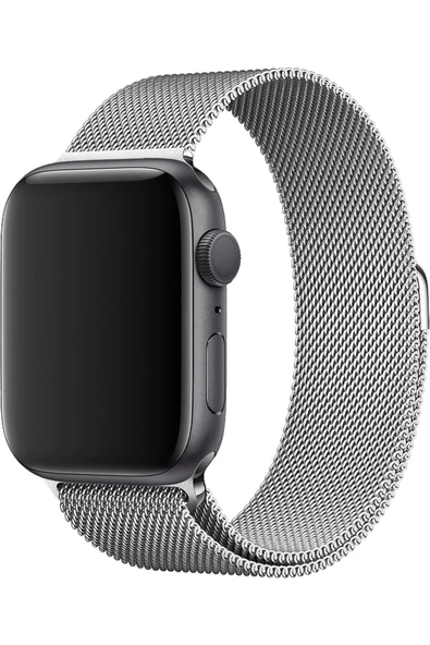 Pazariz Apple Watch Uyumlu8 45 Mm Çelik Örgü Mıknatıslı Kordon - Gümüş - Resim 2