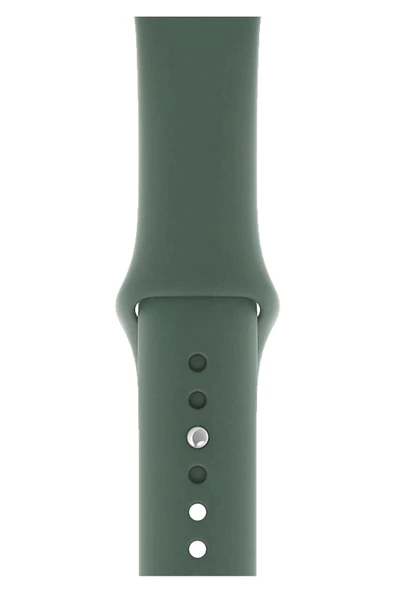 Pazariz Apple Watch Uyumlu3 4 5 6 7 8 Se 38 40 41mm Kordon Kayış Klasik Silikon ürün görseli 1