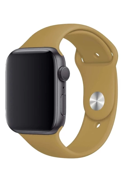 Pazariz Apple Watch Uyumlu3 4 5 6 7 8 Se 38 40 41mm Kordon Kayış Klasik Kaliteli Silikon - Resim 2