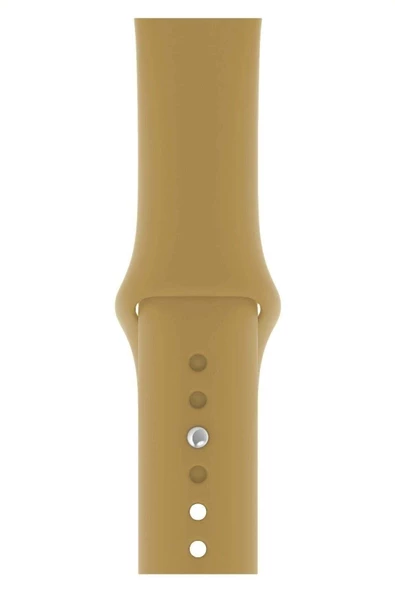 Pazariz Apple Watch Uyumlu3 4 5 6 7 8 Se 38 40 41mm Kordon Kayış Klasik Kaliteli Silikon ürün görseli 1