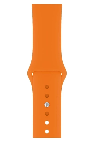 Pazariz Apple Watch Uyumlukordon 1 2 3 4 5 6 7 8 Se 42 Mm/44 Mm/45mm Silikon Kordon Kayış - Resim 2