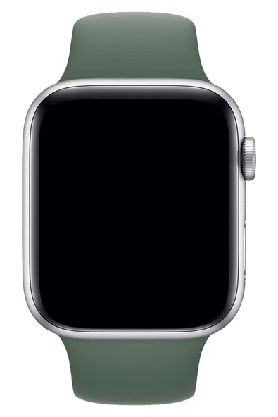 Pazariz Apple Watch Uyumlu3 4 5 6 7 8 Se 38 40 41mm Kordon Kayış Klasik Silikon - Resim 3