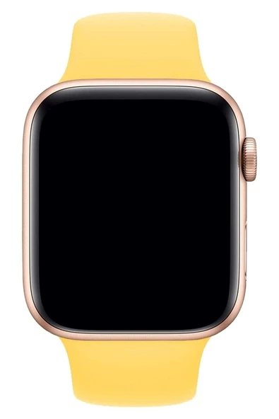 Pazariz Apple Watch Uyumlu3 4 5 6 7 8 Se 42-44-45-49 Mm Ultra Kordon Kayış Silikon - Resim 3