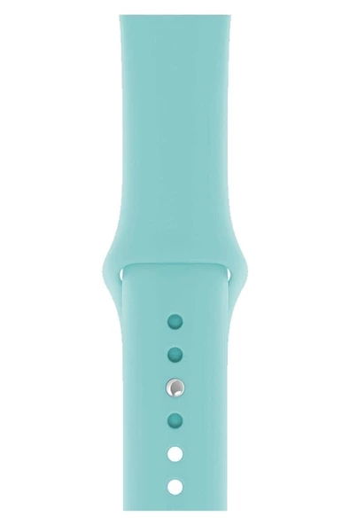 Pazariz Apple Watch Uyumlu3 4 5 6 7 8 Se 38 40 41mm Kordon Kayış Klasik Silikon ürün görseli 1