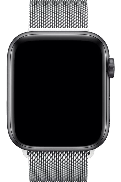 Pazariz Apple Watch Uyumlu8 45 Mm Çelik Örgü Mıknatıslı Kordon - Gümüş - Resim 3