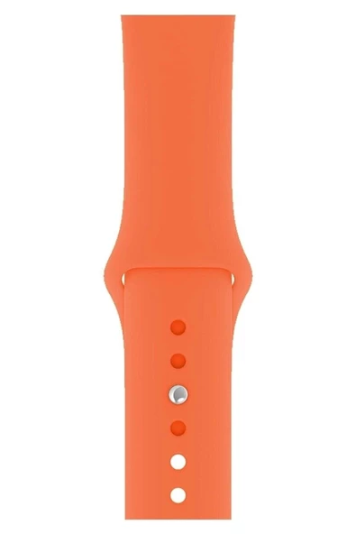 Pazariz Apple Watch Uyumlu3 4 5 6 7 8 Se 38 40 41mm Kordon Kayış Klasik Silikon ürün görseli 1