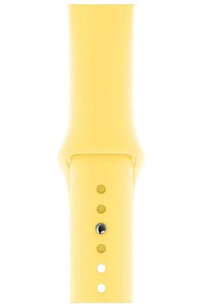 Pazariz Apple Watch Uyumlu3 4 5 6 7 8 Se 38 40 41mm Kalite Kordon Kayış Klasik Kaliteli Silikon