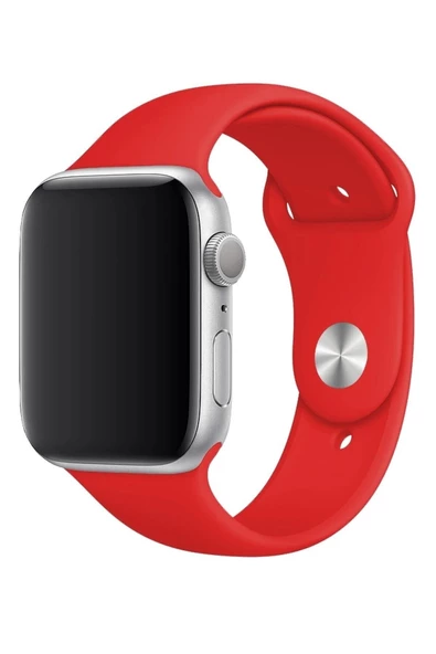 Pazariz Apple Watch Uyumlu3 4 5 6 7 8 Se 38 40 41mm Kordon Kayış Klasik Kaliteli Silikon - Resim 2