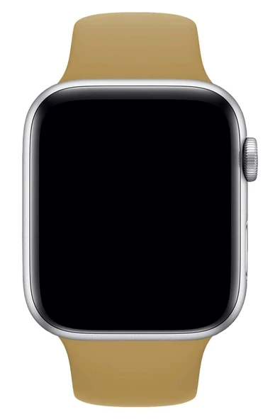 Pazariz Apple Watch Uyumlu3 4 5 6 7 8 Se 38 40 41mm Kordon Kayış Klasik Kaliteli Silikon - Resim 2
