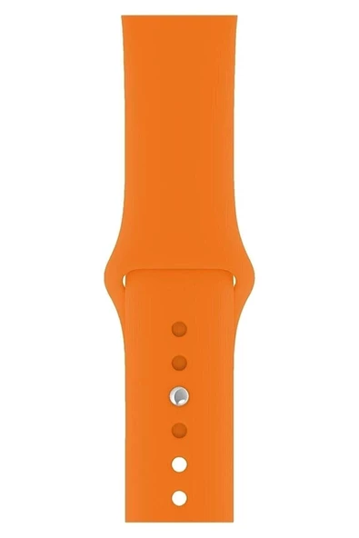 Pazariz Apple Watch Uyumlukordon 2 3 4 5 6 7 8 42-44-45 Silikon Kordon Kayış ürün görseli 1