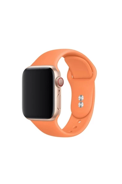 Pazariz Apple Watch Uyumlu2 3 4 5 6 7 Se 38 Mm 40 Mm Spor Sililkon Kordon ürün görseli 1