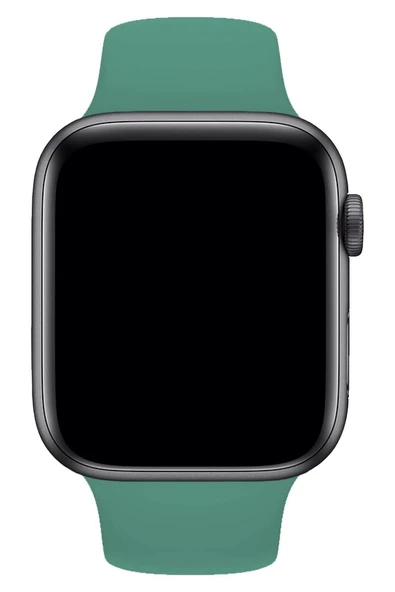 Pazariz Apple Watch Uyumlukordon S Beden 1 2 3 4 5 6 7 Se 42 Mm/44 Mm/45mm Silikon Kordon Kayış - Resim 2