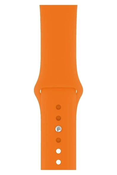 Pazariz Apple Watch Uyumlu42 / 44 / 45 Mm - 2 3 4 5 6 7 8 Se Silikon Kordon Kayış Band ürün görseli 1