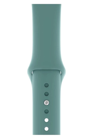 Pazariz Apple Watch Uyumlu3 4 5 6 7 8 Se 38 40 41mm Kordon Kayış Klasik Kaliteli Silikon ürün görseli 1