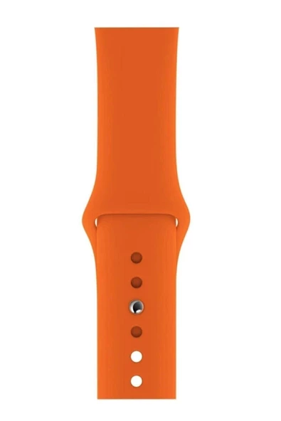 Pazariz Apple Watch Uyumlu3 4 5 6 7 8 Se 38 40 41mm Kordon Kayış Klasik Kaliteli Silikon ürün görseli 1