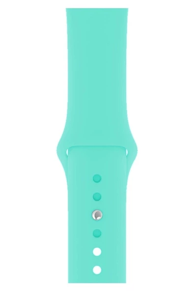 Pazariz Apple Watch Uyumlu3 4 5 6 7 8 Se 38 40 41mm Kordon Kayış Klasik Kaliteli Silikon ürün görseli 1