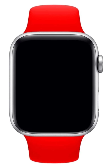 Pazariz Apple Watch Uyumlu3 4 5 6 7 8 Se 42 44 45mm Kordon Kayış Klasik Kaliteli Silikon - Resim 3