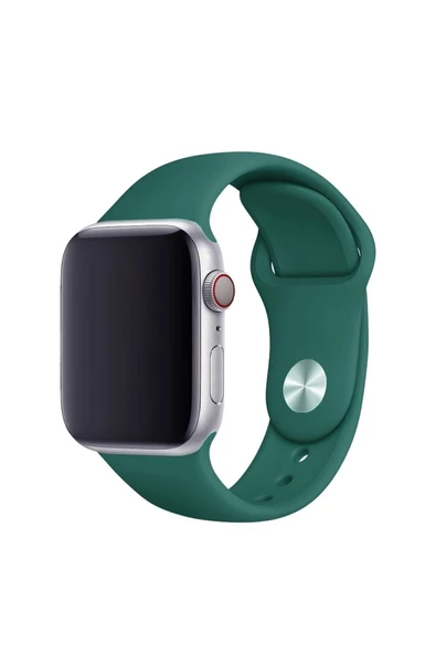 Pazariz Apple Watch Uyumlu3-4-5-6-7-8-se (42mm-44mm-45mm) Yüksek Kalite Kordon