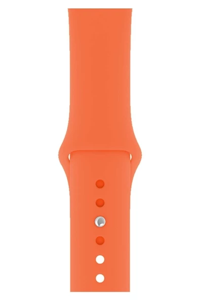 Pazariz Apple Watch Uyumlukordon 1 2 3 4 5 6 7 Se 38 Mm/40 Mm/41mm Silikon Kordon Kayış ürün görseli 1