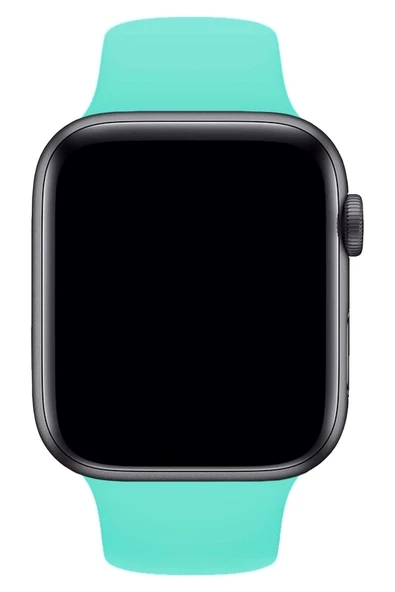 Pazariz Apple Watch Uyumlu3 4 5 6 7 8 Se 38 40 41mm Kordon Kayış Klasik Kaliteli Silikon - Resim 2